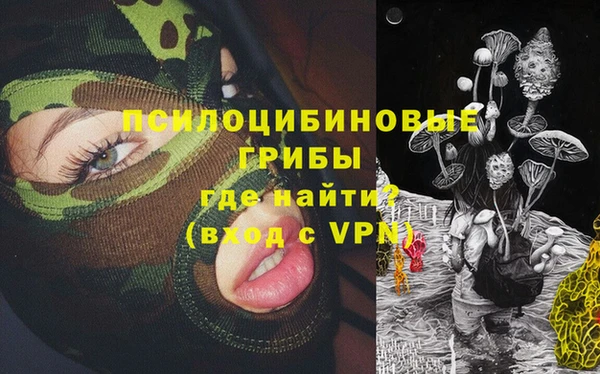 ПСИЛОЦИБИНОВЫЕ ГРИБЫ Рославль