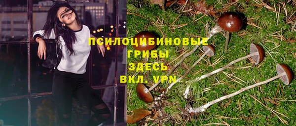 PSILOCYBIN Алексеевка