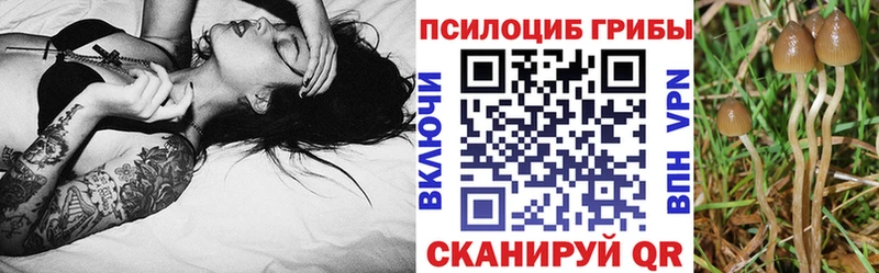 Галлюциногенные грибы GOLDEN TEACHER mega ONION Заволжск