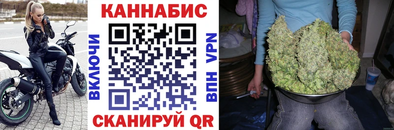 купить наркоту  Заволжск  Шишки марихуана индика 